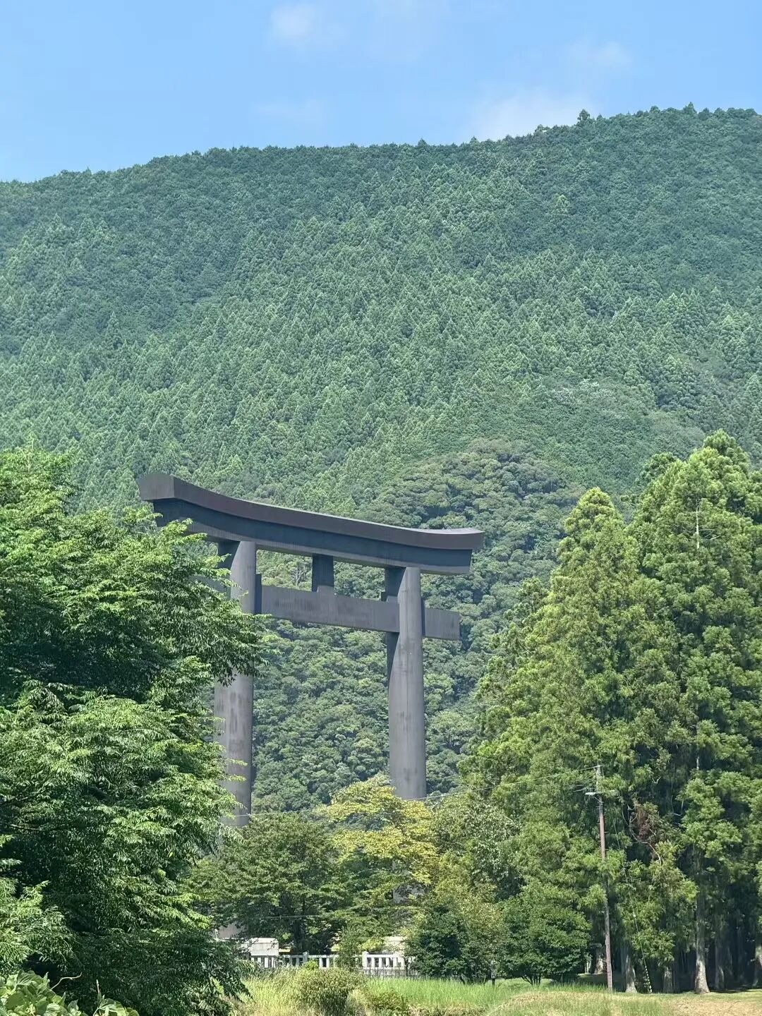 The great torii at Oyunohara, framed by trees.