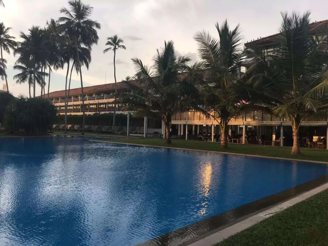 A pool and palms in the evening light.