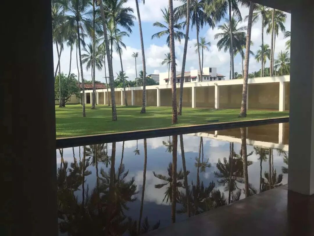 Palms, a colonnade and reflected light, photographed on my Sri Lanka journey.