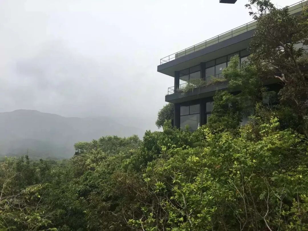 Heritance Kandalama meeting the vegetation and misty landscape.