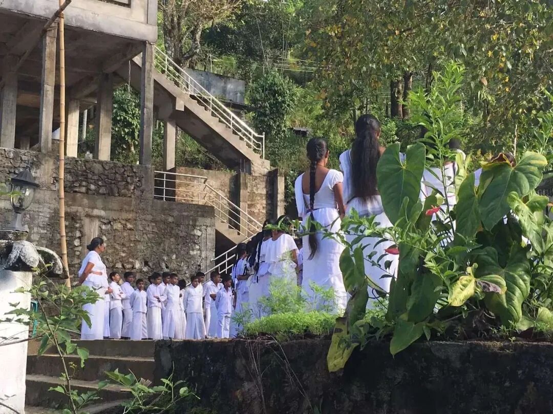 Visitors in white among the buildings and trees.